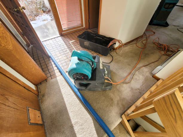 Best Water damage cleanup near me  in Palos Verdes Estates, CA
