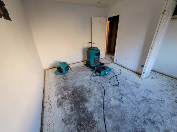 Best Ceiling water damage repair  in Palos Verdes Estates, CA