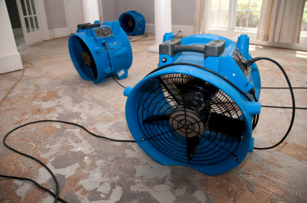 Best Commercial water damage restoration  in Palos Verdes Estates, CA