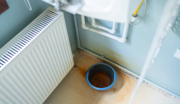 Best Professional water damage repair  in Palos Verdes Estates, CA