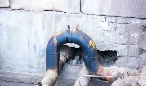 Best Carpet water damage restoration  in Palos Verdes Estates, CA