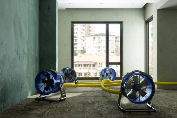 Best Commercial water damage restoration  in Palos Verdes Estates, CA